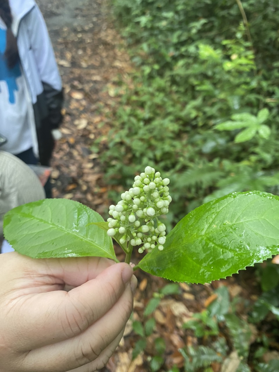 khóa học CNTT